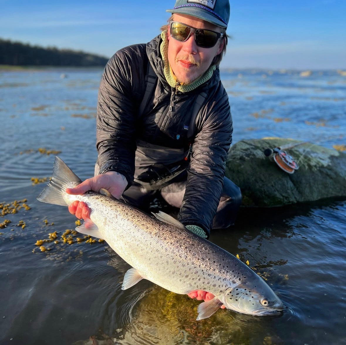 Flugfiske Havsöring